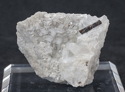 Dissakisite-(Ce)/Allanite-(Ce) with Dolomite and Talc