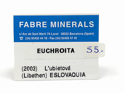 Euchroita