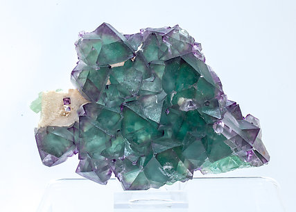 Fluorite with Quartz