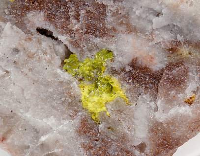 Rodalquilarite with Jarosite. 