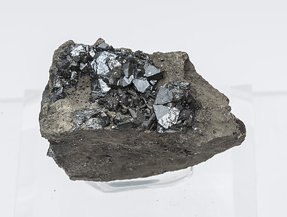 Chalcocite with Pyrite
