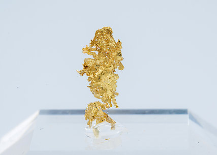 Gold (variety electrum)