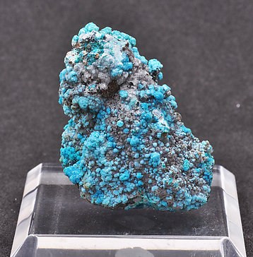 Chrysocolla on Quartz (variety smoky). 