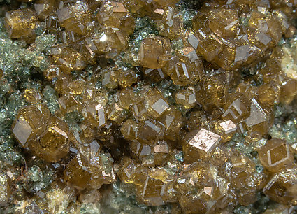 Andradite (variety topazolite) with Clinochlore. 