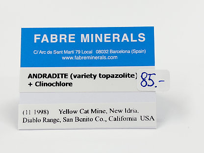 Andradite (variety topazolite) with Clinochlore