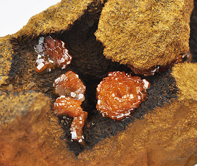 Vanadinite with Siderite