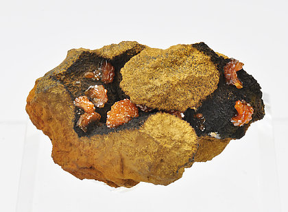 Vanadinite with Siderite