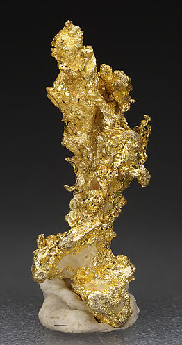 Oro