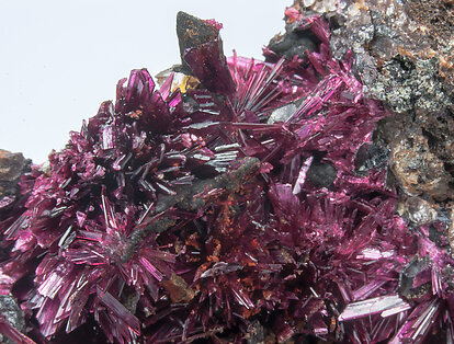 Erythrite with Phlogopite