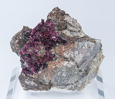 Erythrite with Phlogopite