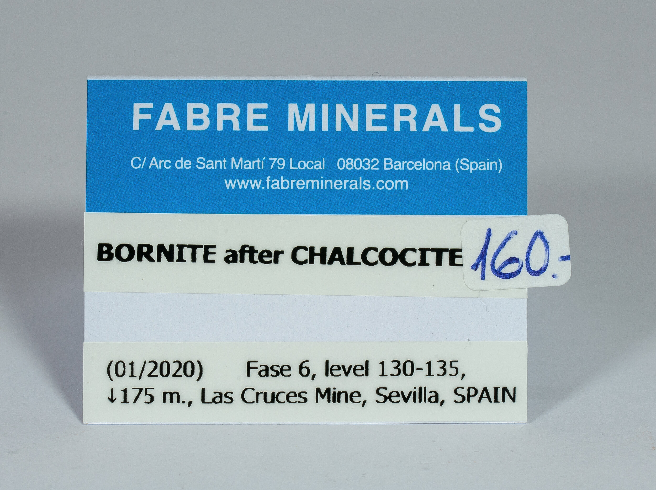 specimens/s_fastAN2/SM160NLN-label.jpg