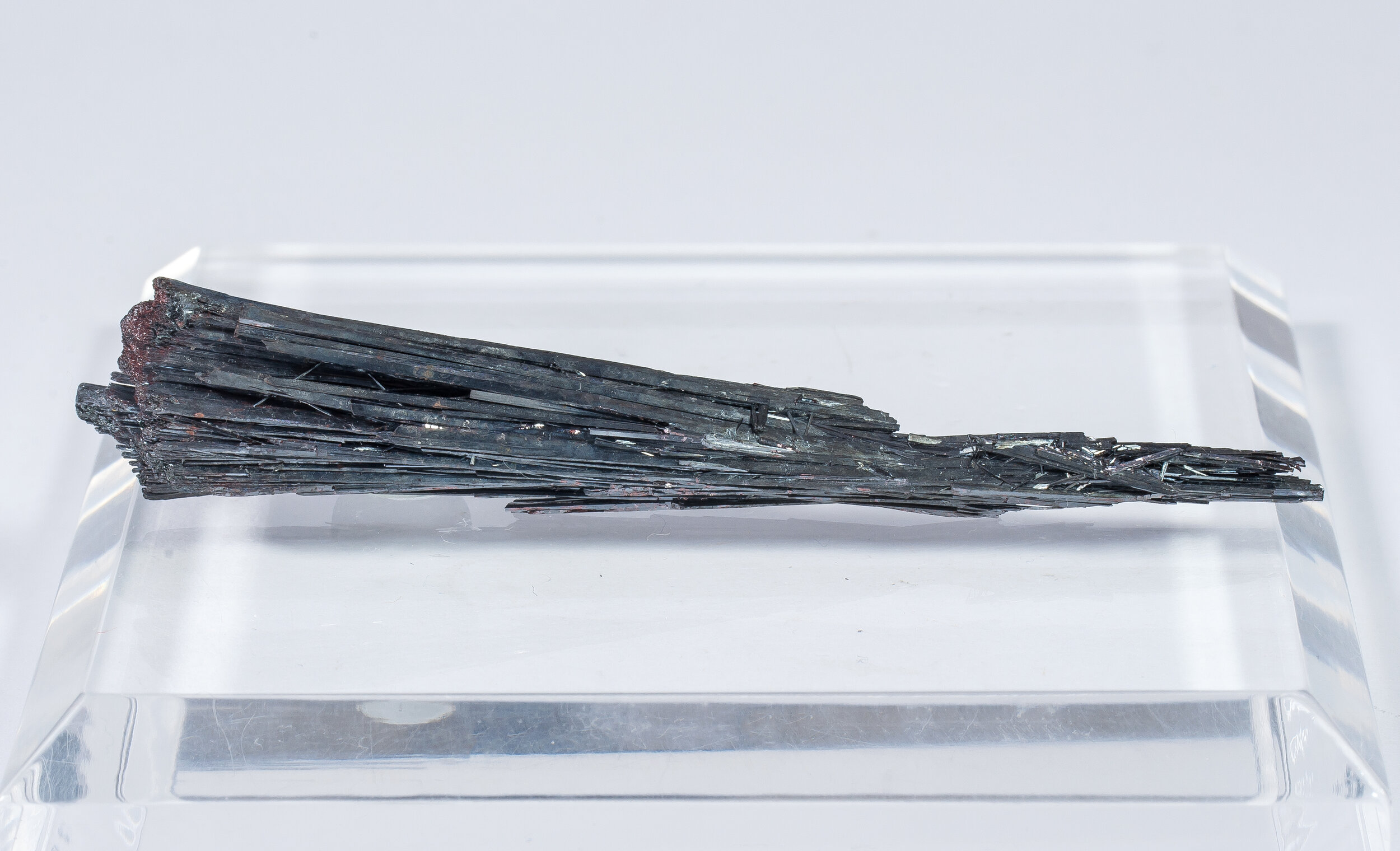specimens/s_fastAN2/SM170BDM-rear.jpg
