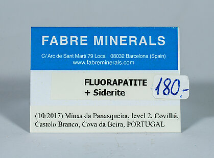 Fluorapatite with Siderite