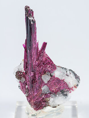 Erythrite with Quartz