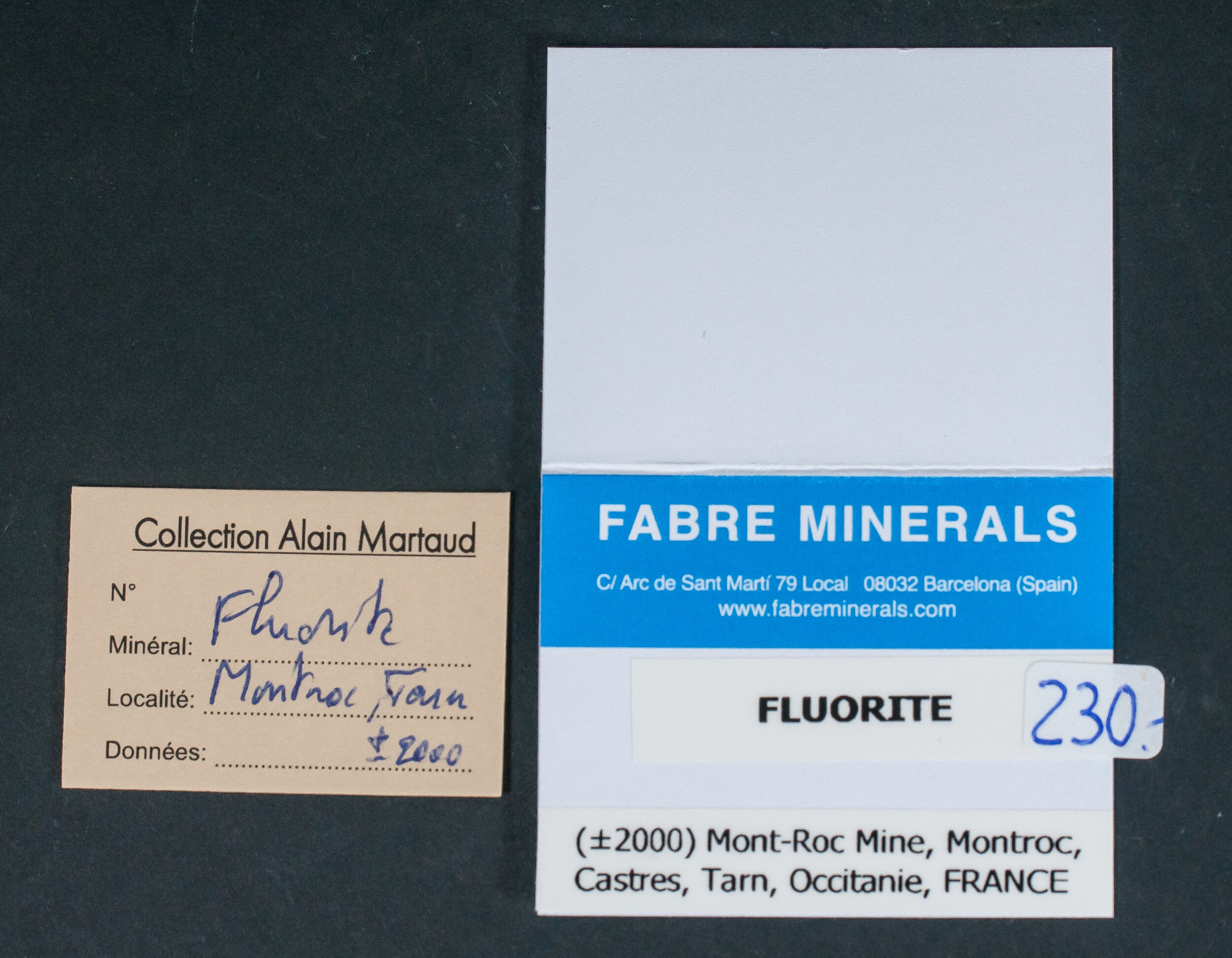 specimens/s_fastAN2/SM230LBD-label.jpg