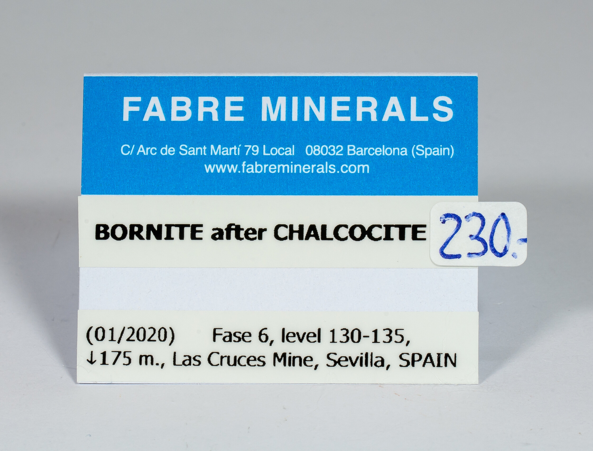 specimens/s_fastAN2/SM230NM-label.jpg