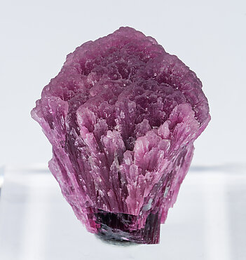 Elbaite-Schorl Series (variety mushroom). Front