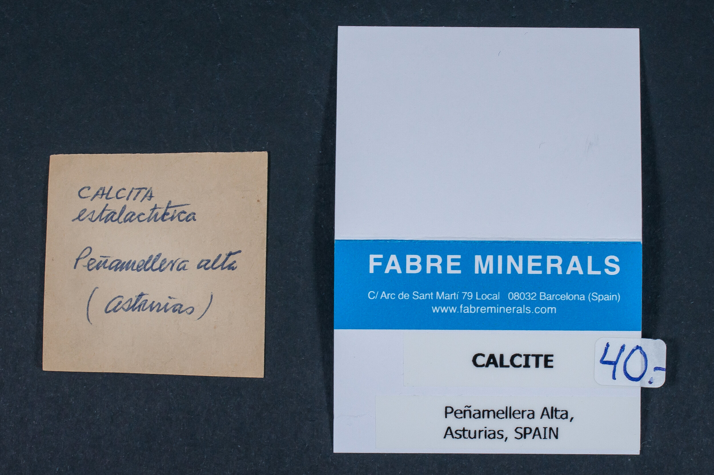 specimens/s_fastAN2/SM40DWH-label.jpg