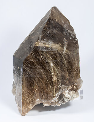 Quartz (variety smoky) with Rutile inclusions
