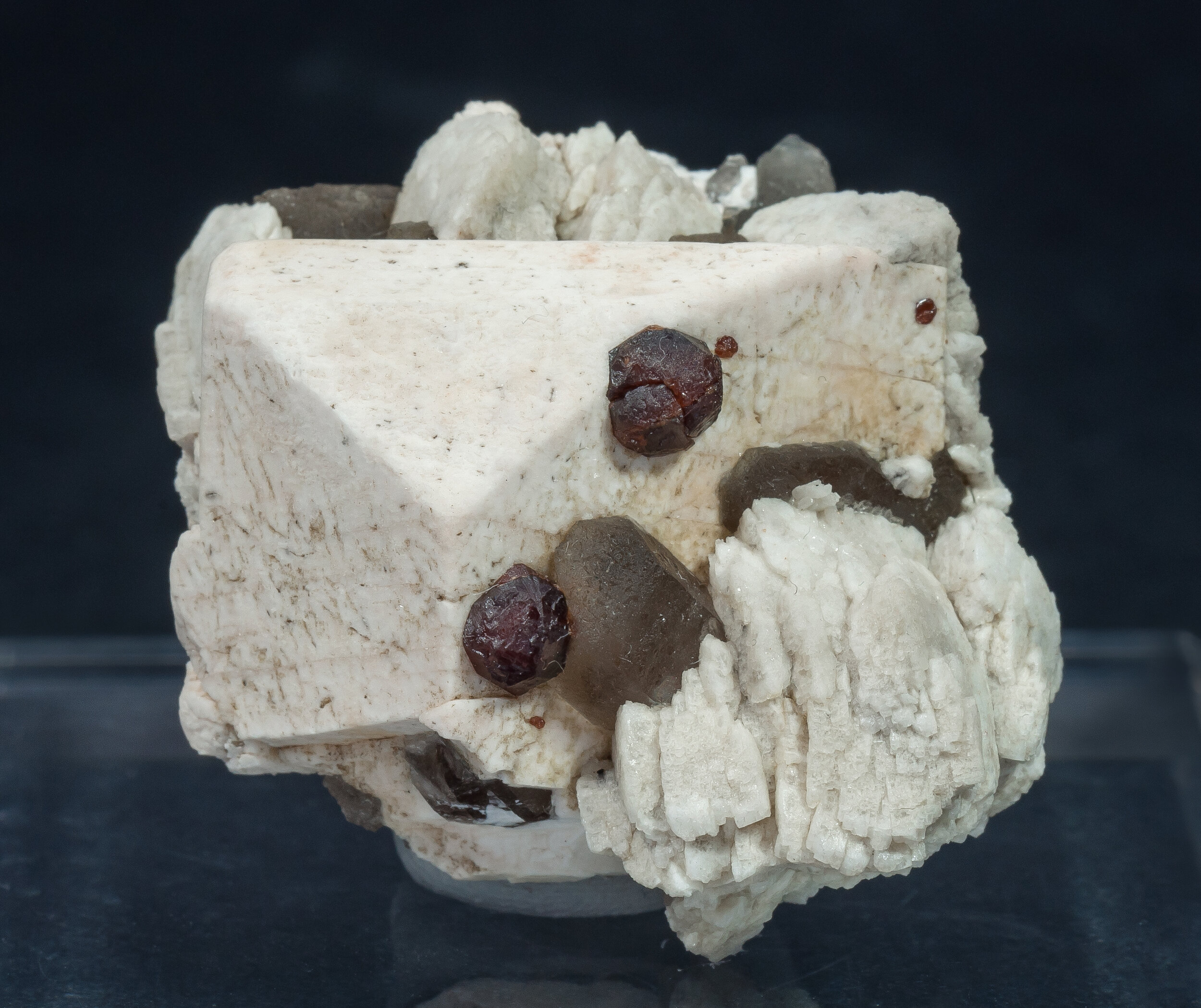 specimens/s_fastAN2/SM50DZD.jpg
