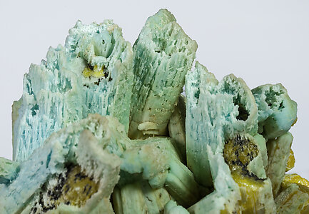 Pyromorphite with Plumbogummite