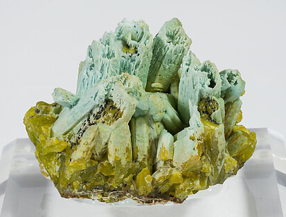 Pyromorphite with Plumbogummite