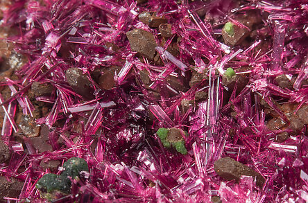 Erythrite with Phlogopite