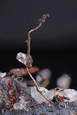 Silver with Rhodochrosite and Acanthite, Quartz, Calcite