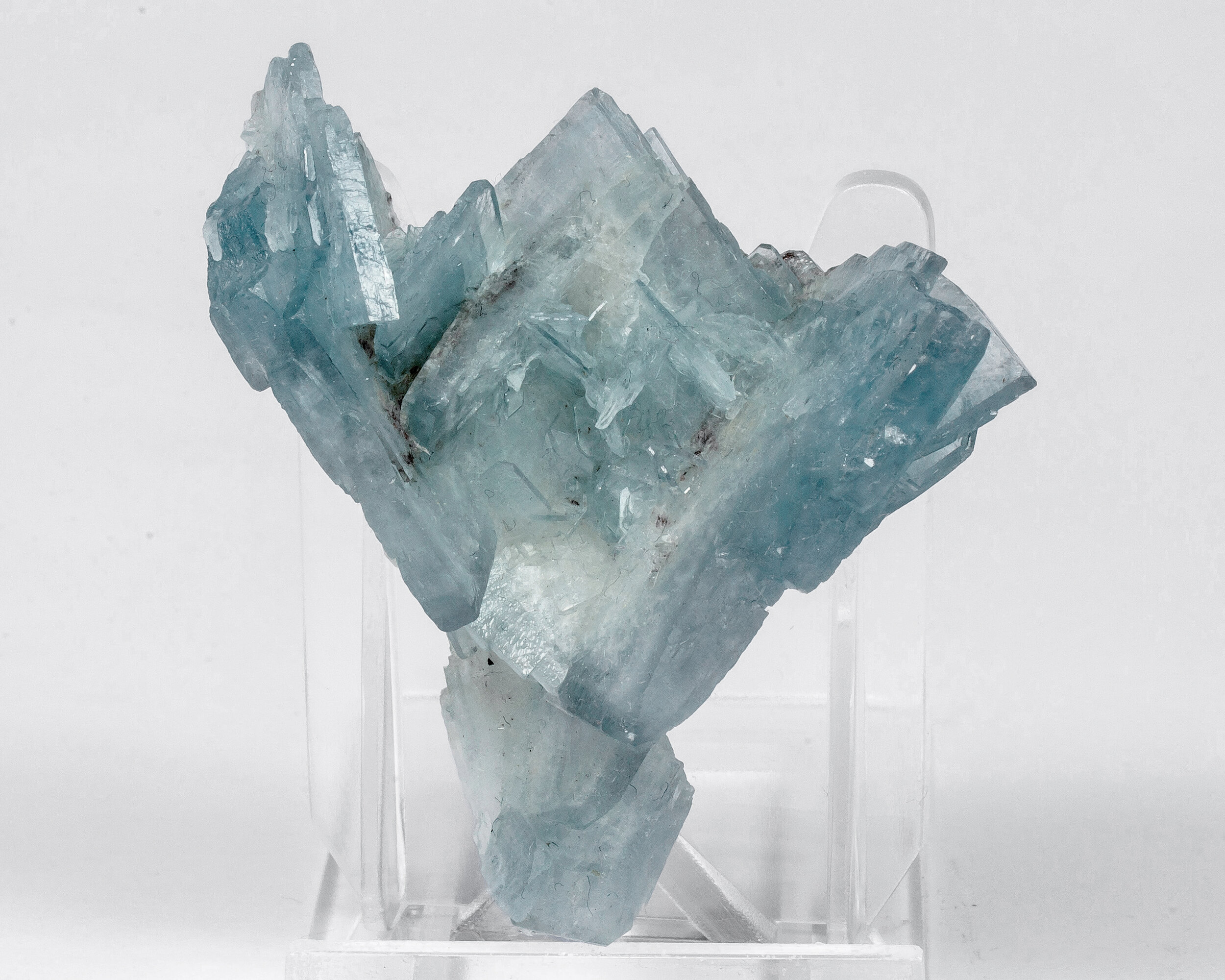 specimens/s_fastAO0/TC2140NR-front.jpg