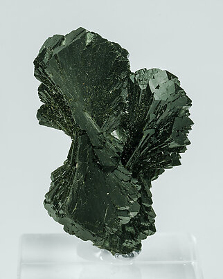 Epidote