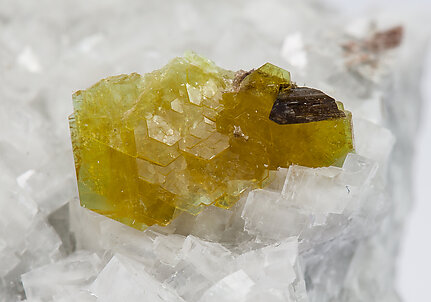 Hydroxylbastnsita-(Ce) con Dolomita y Dissakisita-(Ce)/Allanita-(Ce)