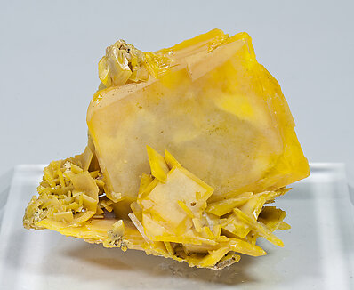 Wulfenite. 