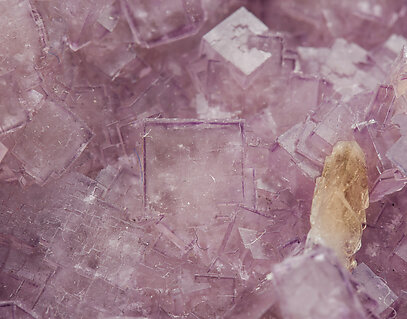 Fluorite with Baryte