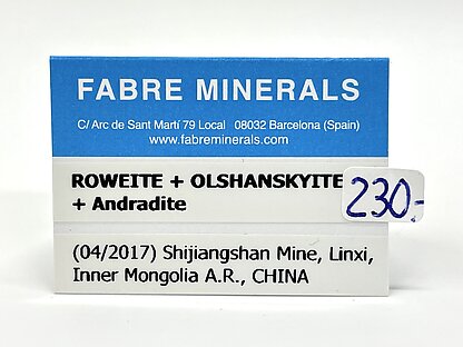 Roweite with Olshanskyite and Andradite