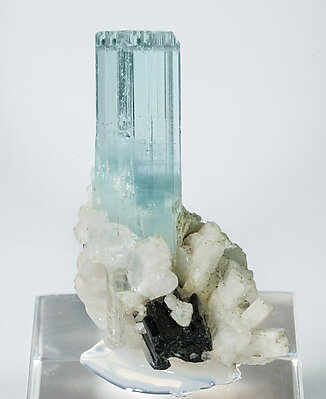 Beryl (variety aquamarine) with Albite and Schorl