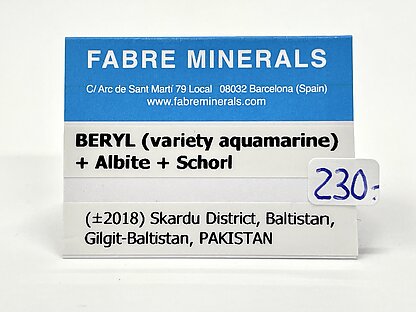 Beryl (variety aquamarine) with Albite and Schorl