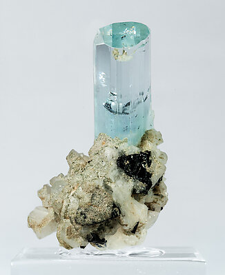 Beryl (variety aquamarine) with Albite and Schorl