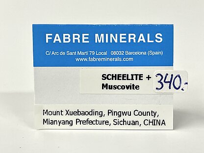 Scheelite with Muscovite