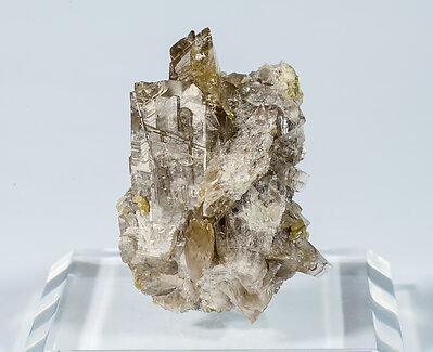 Axinite-(Fe) with Epidote