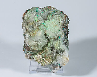 Conichalcite with Baryte and Gypsum