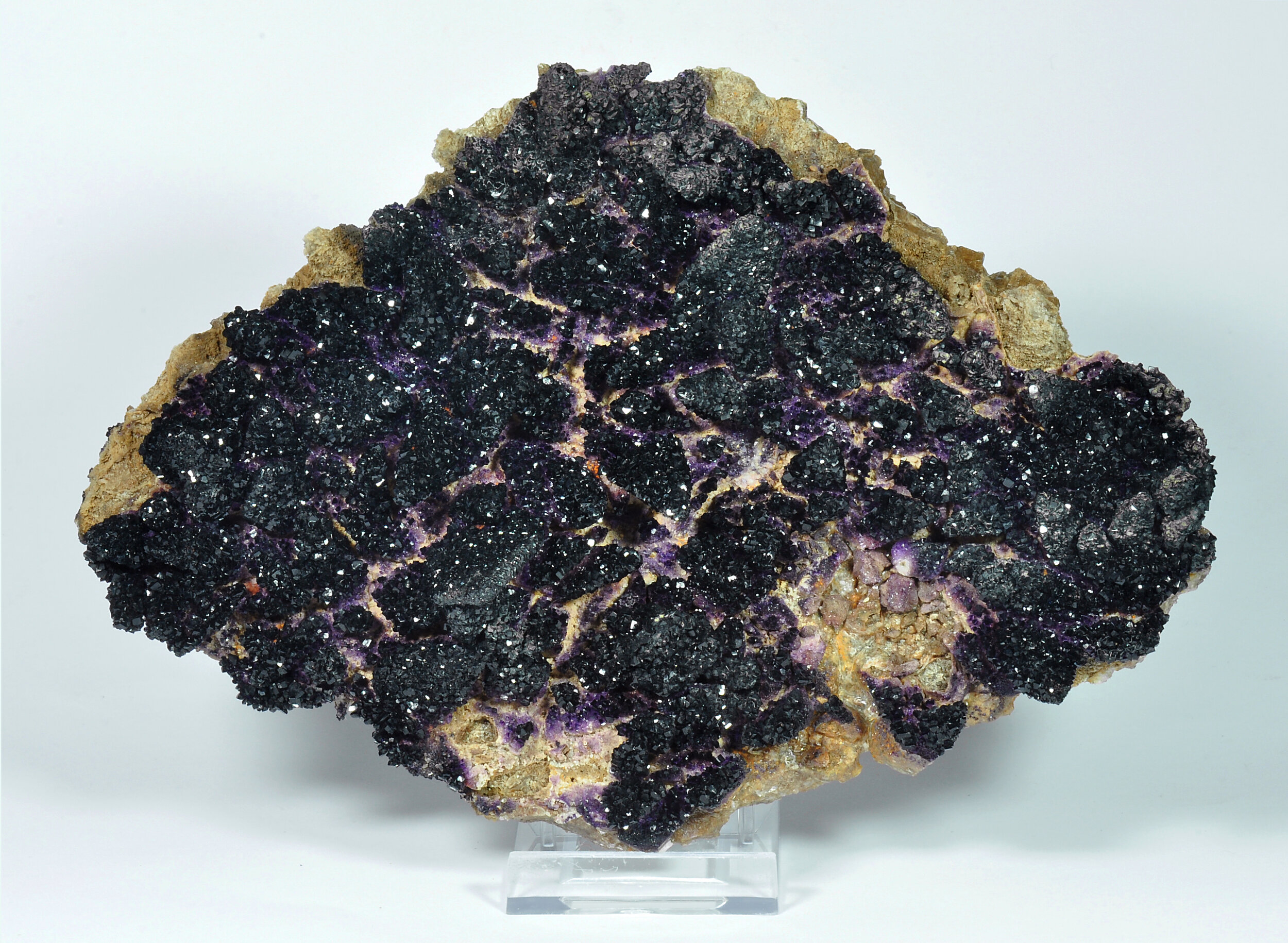 specimens/s_fastAO0/TC2790TFG-front.jpg