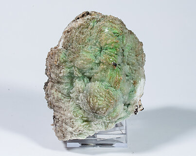 Conichalcite with Baryte and Gypsum