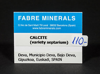 Calcite (variety septarium)