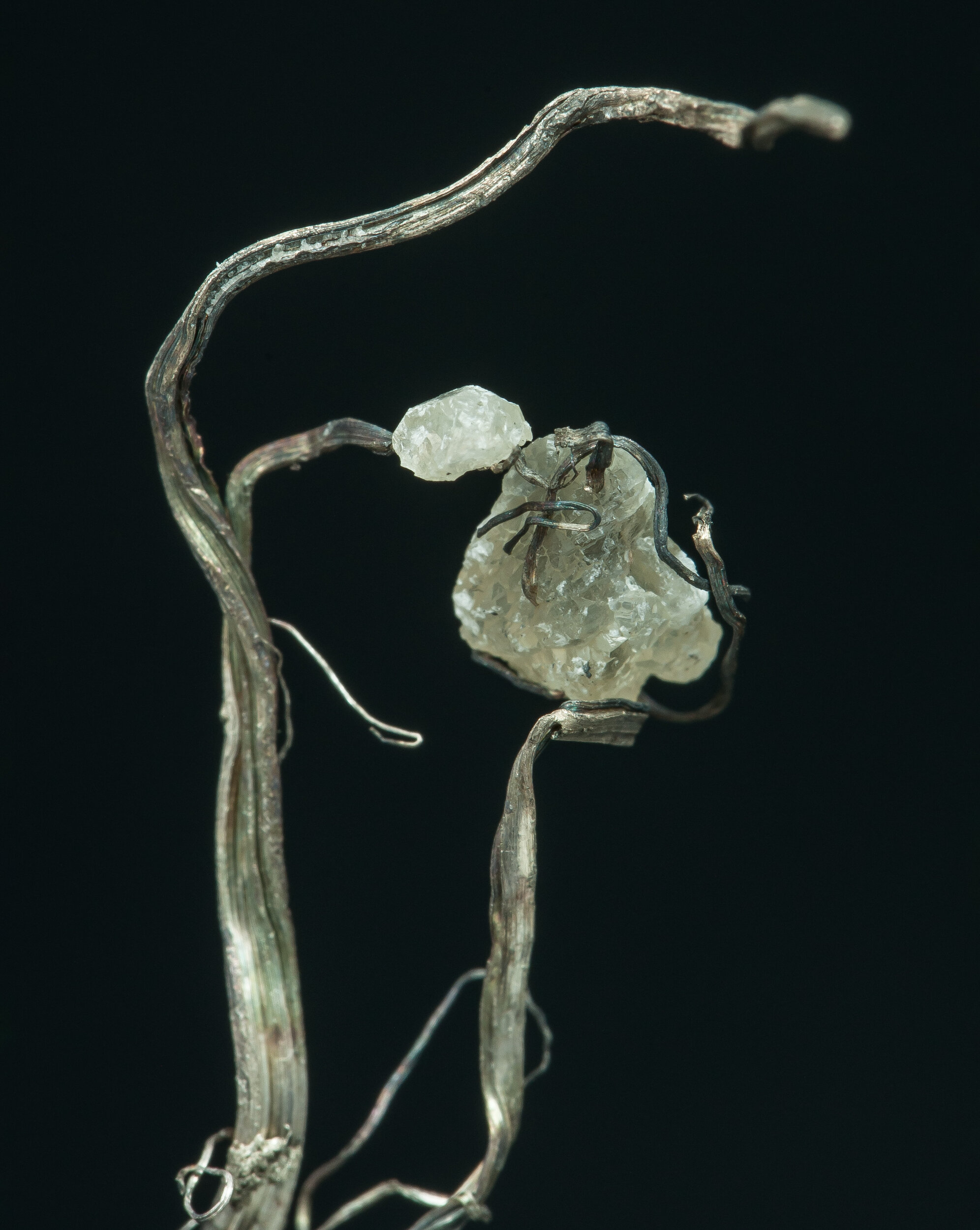 specimens/s_fastAP3/XM21200MVM-detail.jpg