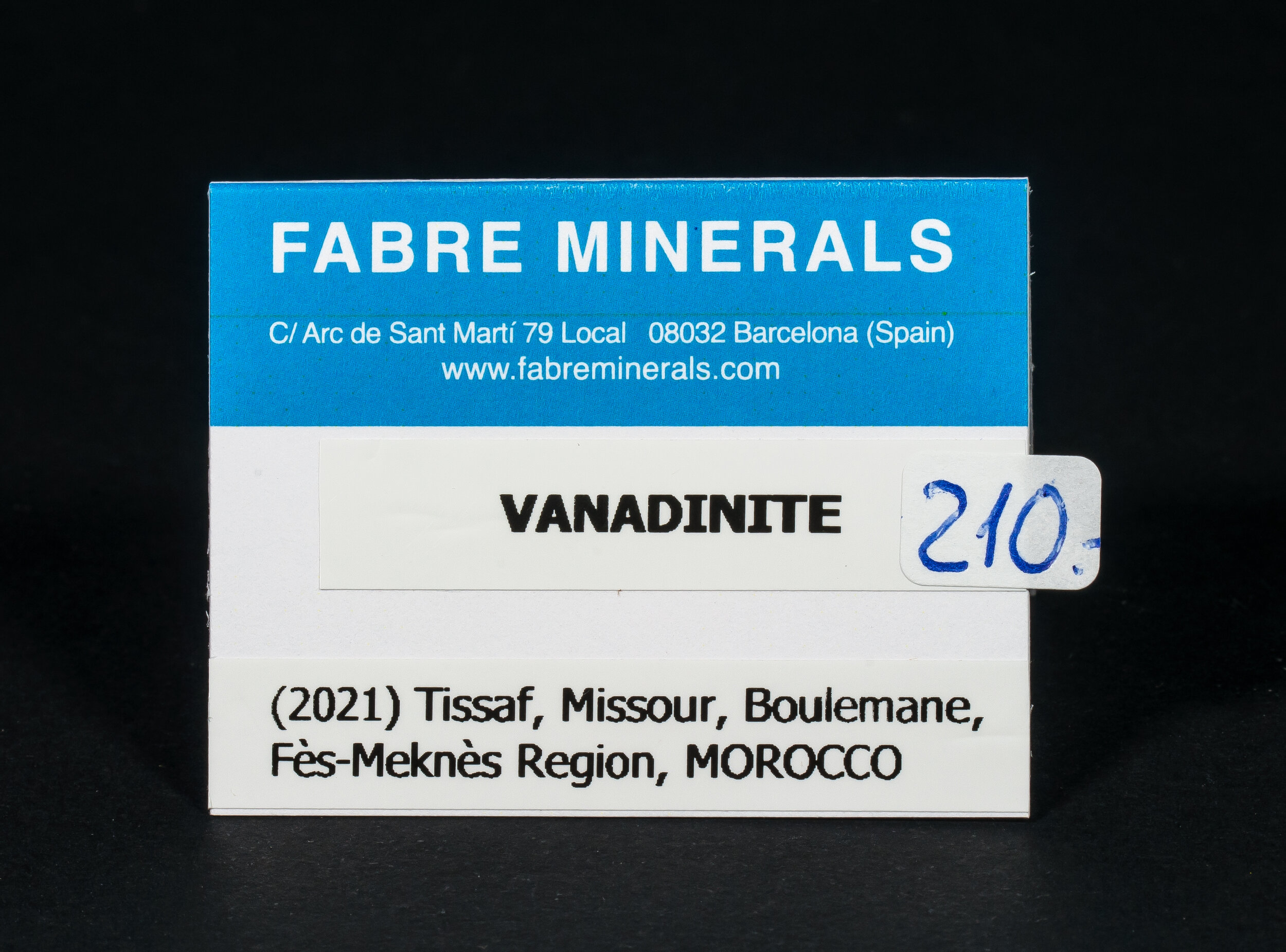 specimens/s_fastAP3/XM2210ELP-label.jpg