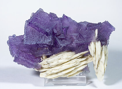 Fluorite with Baryte