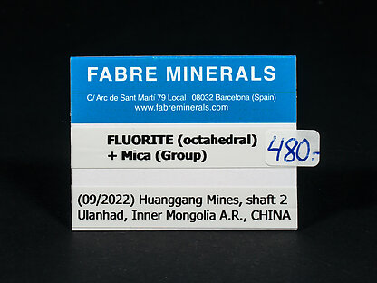 Fluorita (octadrica) con Mica (Grupo)