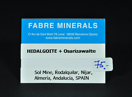 Hidalgoite with Osarizawaite