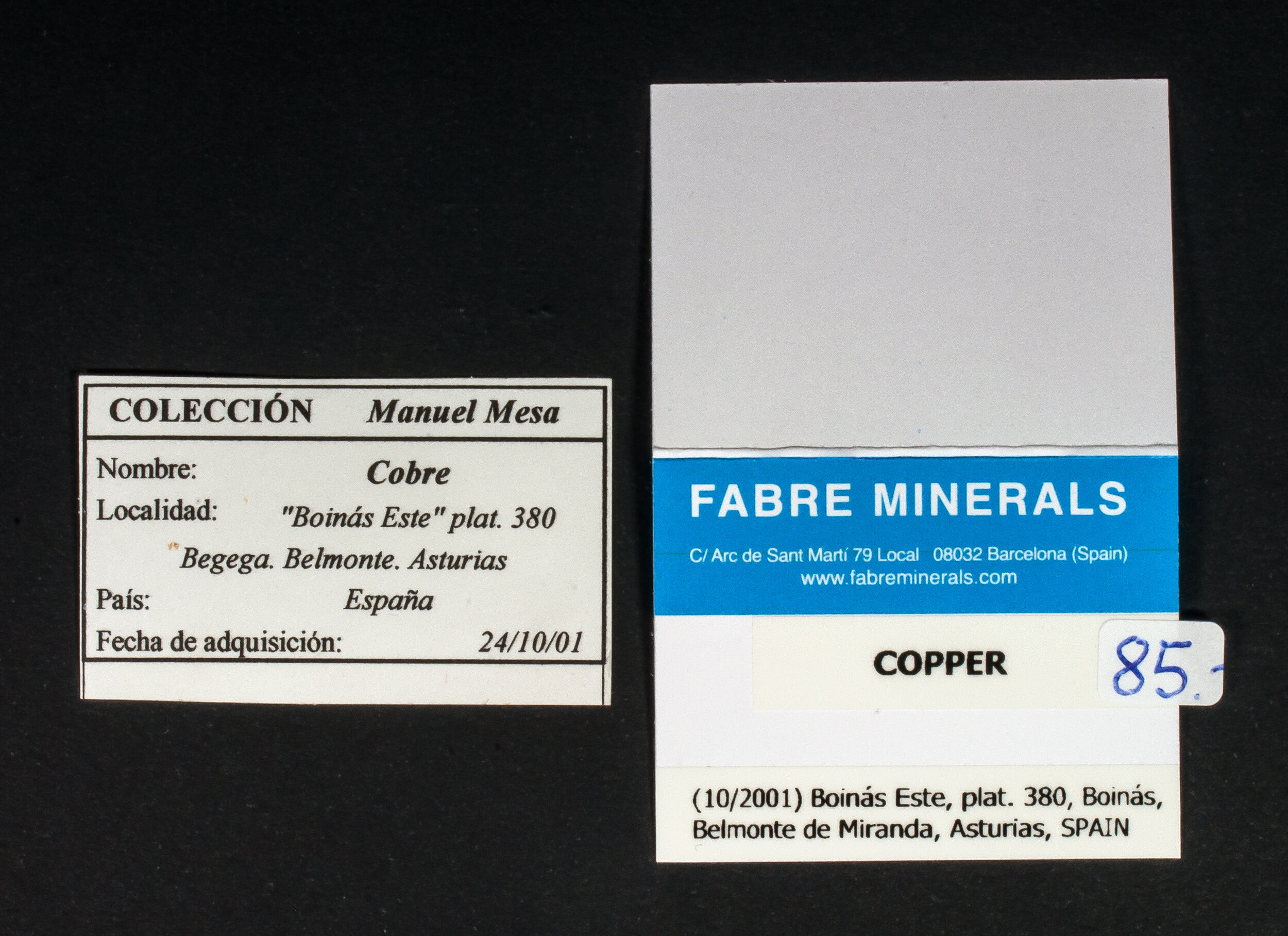 specimens/s_fastAP3/XM285NRM-label.jpg