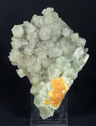 Aragonite with Sulphur